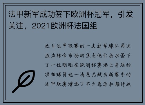 法甲新军成功签下欧洲杯冠军，引发关注，2021欧洲杯法国组
